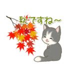 夏～秋 もこもこ猫ちゃんズ（個別スタンプ：16）