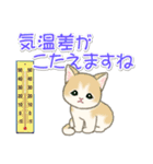 夏～秋 もこもこ猫ちゃんズ（個別スタンプ：17）