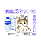 夏～秋 もこもこ猫ちゃんズ（個別スタンプ：18）