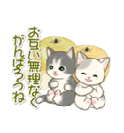 夏～秋 もこもこ猫ちゃんズ（個別スタンプ：19）