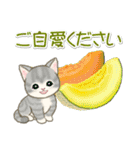 夏～秋 もこもこ猫ちゃんズ（個別スタンプ：20）