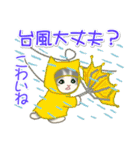 夏～秋 もこもこ猫ちゃんズ（個別スタンプ：22）
