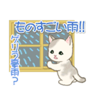 夏～秋 もこもこ猫ちゃんズ（個別スタンプ：24）