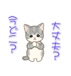 夏～秋 もこもこ猫ちゃんズ（個別スタンプ：26）
