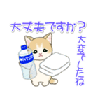 夏～秋 もこもこ猫ちゃんズ（個別スタンプ：27）