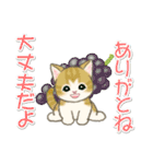夏～秋 もこもこ猫ちゃんズ（個別スタンプ：28）
