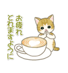 夏～秋 もこもこ猫ちゃんズ（個別スタンプ：31）
