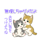 夏～秋 もこもこ猫ちゃんズ（個別スタンプ：32）