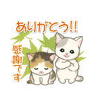 夏～秋 もこもこ猫ちゃんズ（個別スタンプ：34）