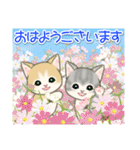 夏～秋 もこもこ猫ちゃんズ（個別スタンプ：37）