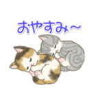夏～秋 もこもこ猫ちゃんズ（個別スタンプ：38）