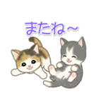 夏～秋 もこもこ猫ちゃんズ（個別スタンプ：39）