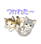 夏～秋 もこもこ猫ちゃんズ（個別スタンプ：40）