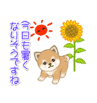 夏～秋 よちよち豆柴（個別スタンプ：2）