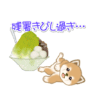 夏～秋 よちよち豆柴（個別スタンプ：6）