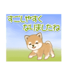 夏～秋 よちよち豆柴（個別スタンプ：12）