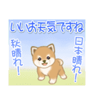 夏～秋 よちよち豆柴（個別スタンプ：15）