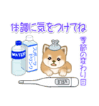 夏～秋 よちよち豆柴（個別スタンプ：18）