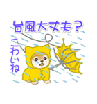 夏～秋 よちよち豆柴（個別スタンプ：22）