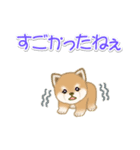 夏～秋 よちよち豆柴（個別スタンプ：25）