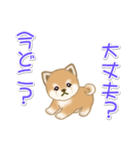 夏～秋 よちよち豆柴（個別スタンプ：26）
