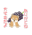 夏～秋 よちよち豆柴（個別スタンプ：28）