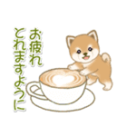 夏～秋 よちよち豆柴（個別スタンプ：31）