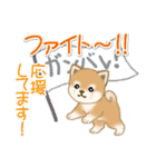 夏～秋 よちよち豆柴（個別スタンプ：36）