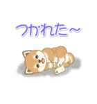 夏～秋 よちよち豆柴（個別スタンプ：40）