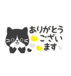 【省スペース】ハチワレ猫こてつ（個別スタンプ：5）