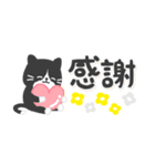 【省スペース】ハチワレ猫こてつ（個別スタンプ：6）