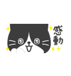 【省スペース】ハチワレ猫こてつ（個別スタンプ：20）
