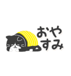 【省スペース】ハチワレ猫こてつ（個別スタンプ：24）