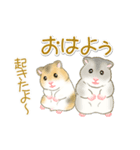 毎日ハムちゃんズ（個別スタンプ：1）