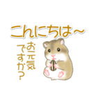 毎日ハムちゃんズ（個別スタンプ：3）