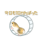 毎日ハムちゃんズ（個別スタンプ：5）