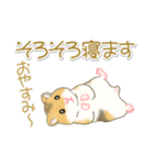 毎日ハムちゃんズ（個別スタンプ：6）