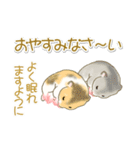 毎日ハムちゃんズ（個別スタンプ：7）