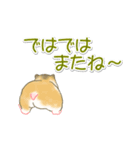 毎日ハムちゃんズ（個別スタンプ：8）