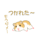 毎日ハムちゃんズ（個別スタンプ：9）