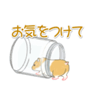 毎日ハムちゃんズ（個別スタンプ：13）