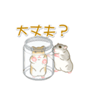 毎日ハムちゃんズ（個別スタンプ：14）