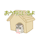 毎日ハムちゃんズ（個別スタンプ：17）