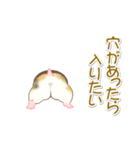 毎日ハムちゃんズ（個別スタンプ：23）