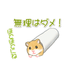 毎日ハムちゃんズ（個別スタンプ：24）