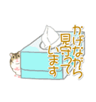 毎日ハムちゃんズ（個別スタンプ：25）