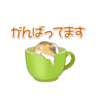 毎日ハムちゃんズ（個別スタンプ：26）