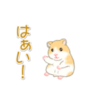 毎日ハムちゃんズ（個別スタンプ：29）