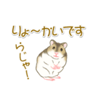 毎日ハムちゃんズ（個別スタンプ：30）