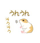 毎日ハムちゃんズ（個別スタンプ：32）